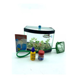 Kit De Aquário Curvo Decorado C Plantas P Peixes Beteira 3 L