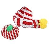 Kit De Cachecol Para Animais De Estimação Adorável Conjunto De Gorro De Malha Para Cachorro Quente Para O Natal S 
