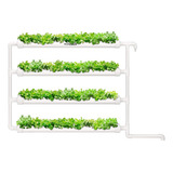 Kit De Cultivo Hidroponico