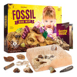 Kit De Escavacao De