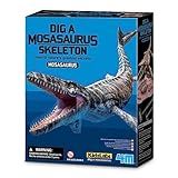 Kit De Escavação Dinossauro Mosassauro Kidz