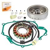 Kit De Estator E Rotor De Volante Para Yamaha Grizzly 660 YFM660F 2003 2008 Rhino 660 YXR66F 2004 2007 5KM 81450 11 00 5KM 81450 10 00 5KM 814100 01 01 0