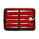 Kit De Ferramentas Dentárias Kit De Limpeza Dentária Kit Higiene Conjunto De Palito Profissional Com Estojo Removedor De Placas Portátil Kit De Cuidados Bucais Com Palitos Para Manutenção Dos Dente