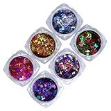 Kit De Glitter Decoração Unhas Glitter Flocado Variados Encapsulamento HS 495