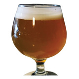 Kit De Insumos Cerveja Artesanal Golden Strong Ale 10 Litros