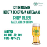 Kit De Insumos Chopp Pilsen Fake Lager 50 Litros