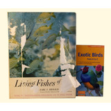 Kit De Livros Exotic