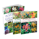 Kit De Livros Planta