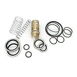 Kit De Manutenção De Reparo Compatível Com Compressor De Ar Atlas Copco 2901021701