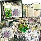 Kit De Materiais Para Scrapbooking Kit De Scrapbook De Estética Vintage JUSFURLIFE Para Materiais De Diário Papéis De Scrapbook Caderno De Grade A6 Adesivos Washi De Borboleta E Plantas 