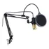 Kit De Microfone Bm800 Pro Para Estúdio E Transmissão Ao Viv