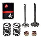 Kit De Mola De Vedação De Válvula De Escape De Admissão Para Carrinho De Golfe De Carro Clube 290cc DS Predent FE290 1992 Up 1016447 1016448