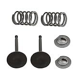 Kit De Molas De Vedação De Válvula De Escape Da Válvula De Admissão Do Motor Conjunto De Válvula Do Cilindro Da Cabeça Do Cilindro E Kit De Mola De Vedação Da Válvula De Escape Para Honda GX160 GX200
