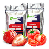 Kit De Nutrientes Para Hidroponia 1000 Litros Frutos