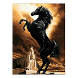 Kit De Pintura Diamante 5d Cavalo Negro 30x40cm Diy