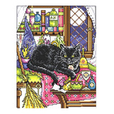 Kit De Ponto Transversal  Gato Preto  Conjunto De Bordados