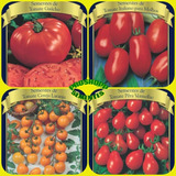Kit De Sementes De Tomates Gaucho
