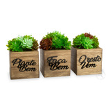 Kit De Vasinhos Decorativos Enfeite Para Rack