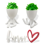 Amor