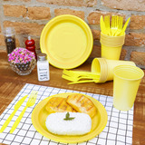 Kit Descartáveis Churrasco Reforçado Colorido 20 Pessoas