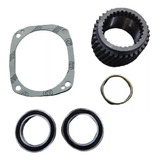 Kit Engrenagens E Rolamentos