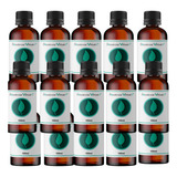 Kit essência Concentrada Kit 16 Unid 100ml Base 3 Litro