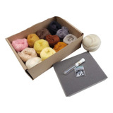 Kit Feltragem Bichinho lã 12 Cores 174g 2 Agulhas base olhos