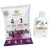 Kit Fertilizante 4 Em 1 Completo Enraizador 140ml Vitaplan
