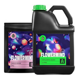Kit Fertilizante Flowermind Nutrição G 5 Litros   625g Grow