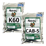 4kg