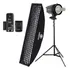 Kit Flash Estúdio Greika 250w Ensaios Moda Com Soft E Rádio