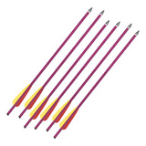 Kit Flechas 6 Unidades