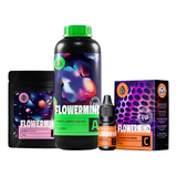 5ml