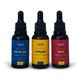 Kit Foco Energia E Equilíbrio Juba De Leão cordyceps reishi Sabor Sem Sabor