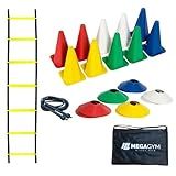 Kit Funcional Agilidade 10 Chapéus 10 Cones Escada Agilidade Com 7 Degraus - Corda De Pular