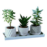 Kit Geométricos Vasos Decorativos Para Suculenta Cacto Etc 