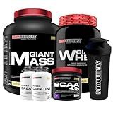 Kit Giant Mass Baunilha 3kg Giant Whey Baunilha 900g BCAA 4 5 Uva 250g 2x Creatina Tangerina 100g Coqueteleira Bodybuilders