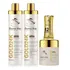 Kit Gold Reconstrução Capilar 04 Em 01 Dama Hair Cosméticos
