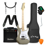 Kit Guitarra Stratocaster Waldman