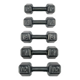 Kit Halter 6 Ao