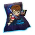 Kit Harry Potter Almofada + Cobertor Presente Geek Friozinho