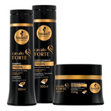 Kit Haskell Cavalo Forte 300ml Shampoo Condicionador Máscara