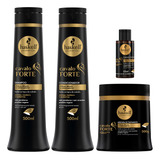 Kit Haskell Cavalo Forte Sh Cond Máscara 500g E Complexo