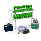 Kit Hidroponia N 2
