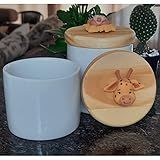 Kit Higiene Bebê Safari 2 Potes Porcelana Tampa Pinus Com Apliques De Biscuit