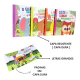 Kit Histórias Infantis Livros Em Capa Dura E Cartonados - Editora Pé Da Letra (4 Livros)