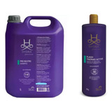 Kit Hydra Pet Society Mascara 900g E Shampoo 5l
