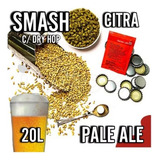 Kit Insumos Cerveja Pale Ale Smash Citra C Dry Hop 20l