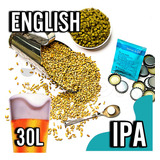 Ipa