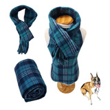 Kit Inverno Roupinha Soft Cobertor E Cachecol Cães E Gatos